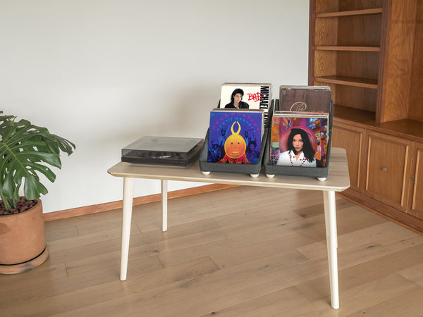 RECORD ROOTS: Vinyl Record Tabletop Storage System