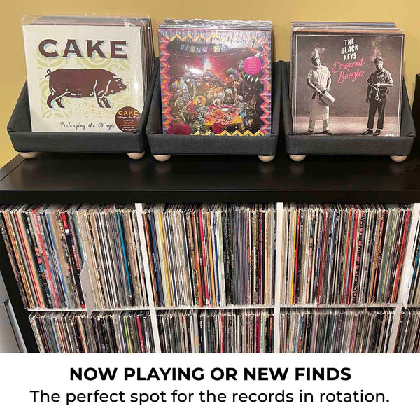 Record Roots Tabletop Storage System