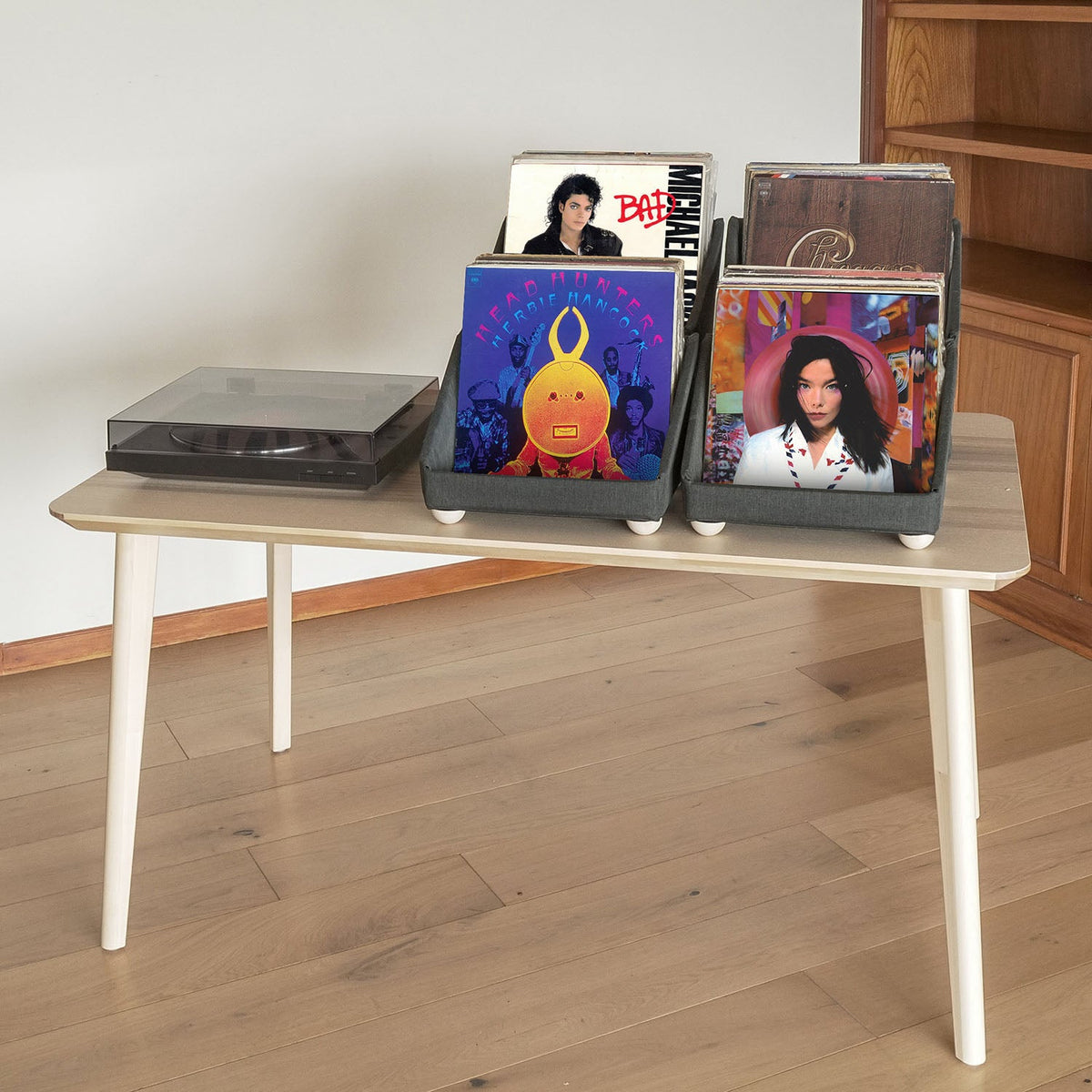 Record Roots Tabletop Storage System